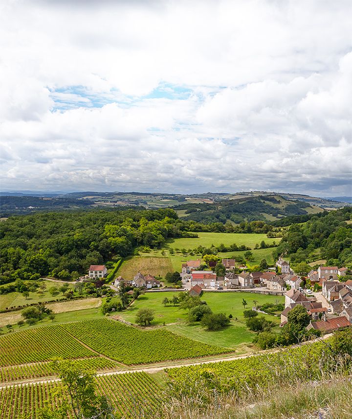 Domaine Chofflet - Nos vignes sur les hauteurs de Givry